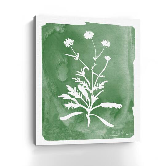 Green Botanical I Canvas Giclee